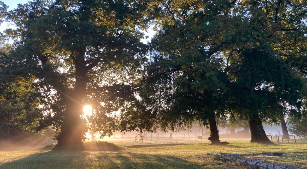 The Retreat New Forest, Hinton Christchurch  Eksteriør billede